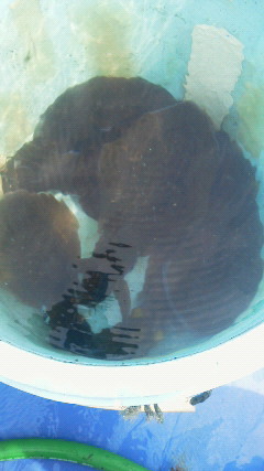 201403101242000.jpg